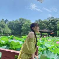 荷花停里拜把子