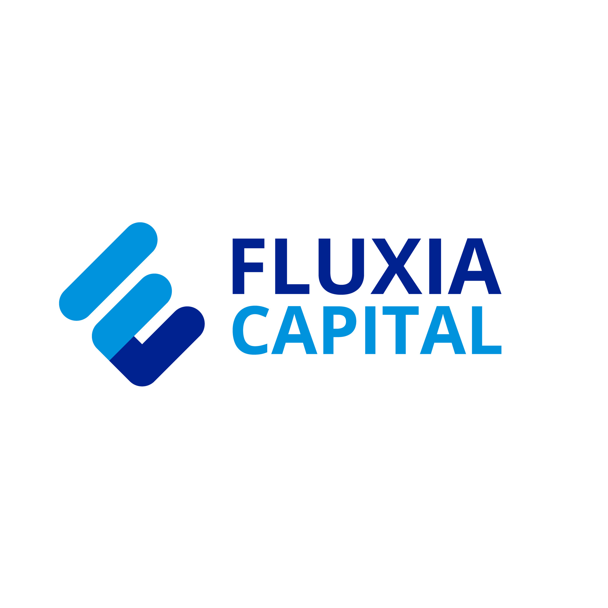 FLUXIA CAPITAL VIETNAM