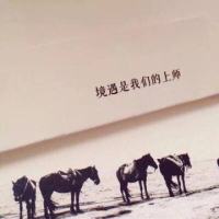 触底反弹中