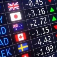 Adam Zhou NZD Trader Master