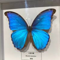 发达4444