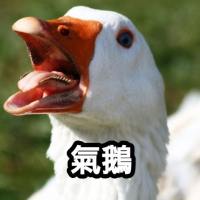 气我鸟2102352368