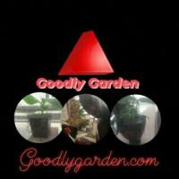 Goodly
