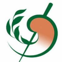 青藤投资_Ivy investment