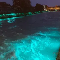 稳操胜券B