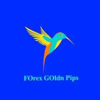 forextrader003