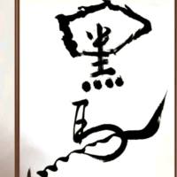 黑马至死不渝