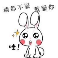 爱冰儿