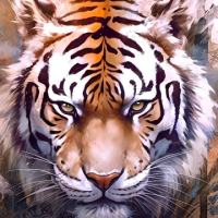 虎虎生風🐯