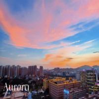 刺桐叁拾