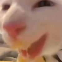 金大福