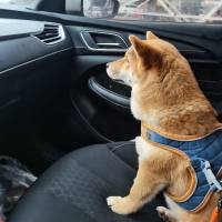 带零基础有缘人