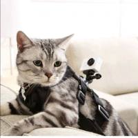小猫2014