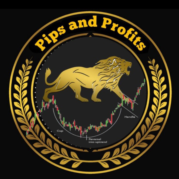 Pips And Profits