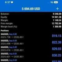 Professional trader 1