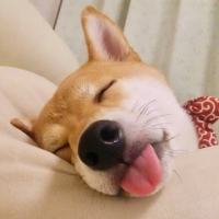 道法自燃
