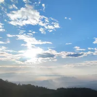 9149281