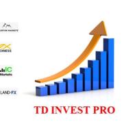 TD INVEST PRO