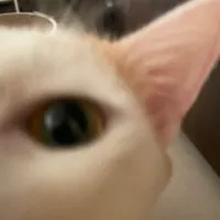 稳定脚步