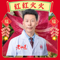 凤凰涅槃168