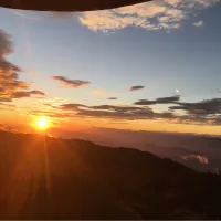 温暖谈金