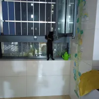 汇海摆渡人