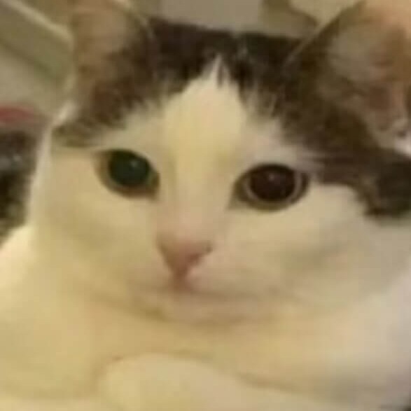 hjq