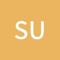 sunhb2002
