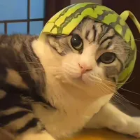 EA交易员艾