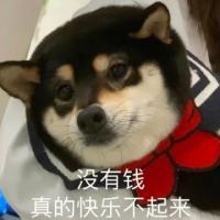 淘金女神