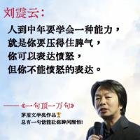 乌龟法则