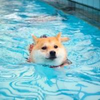 粥遇见米