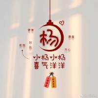 汇市里的一只羔羊