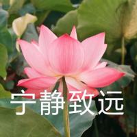 交易人生1