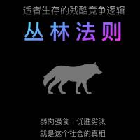 丛林法则