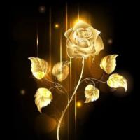 Waleed Atia