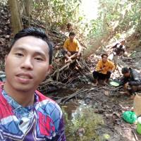 Wis Mansio