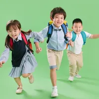 米尔·沙扬·阿里