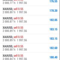 New forex managment
