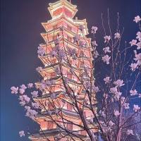 我是三月