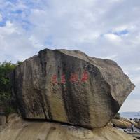 坚持纪律