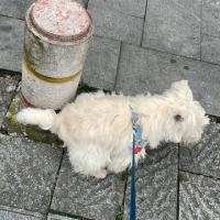 起个什么名字好呢
