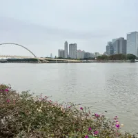 龙龙家族～姑姑