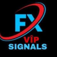 Trader Fx