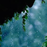 草庐听雨