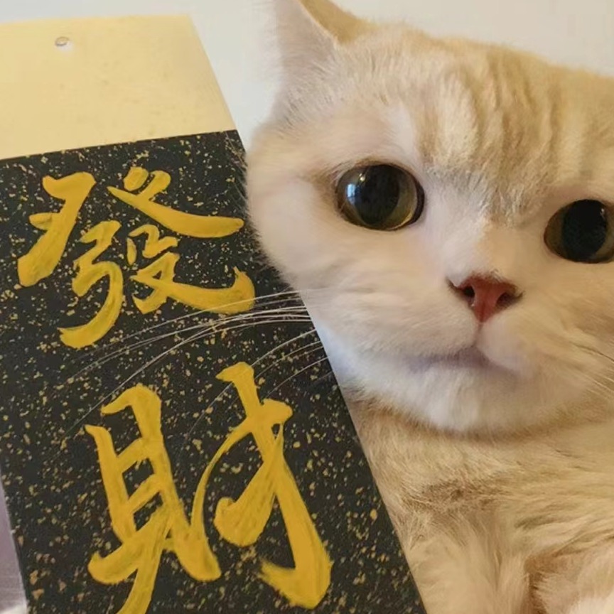 自怡是个猫猪