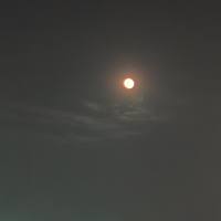 枫叶在搁浅