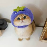 Aya阿雅
