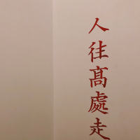 K线墙头草