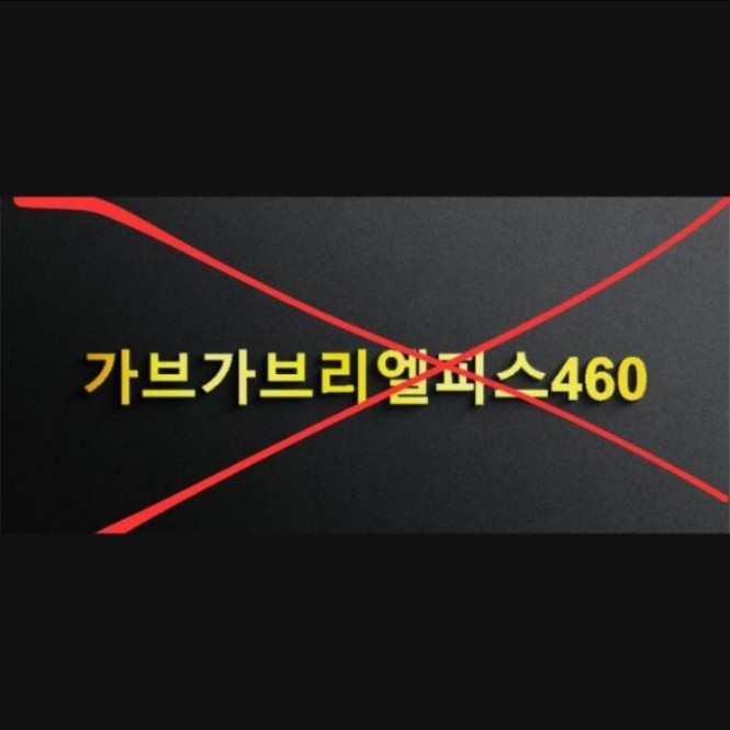 가브리엘피스878